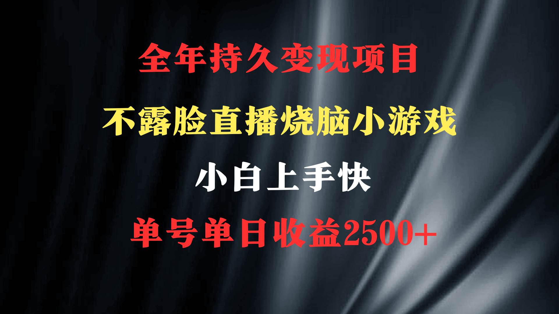2024年 最优项目，烧脑小游戏不露脸直播  小白上手快 无门槛 一天收益2500+-宁率网络知识库