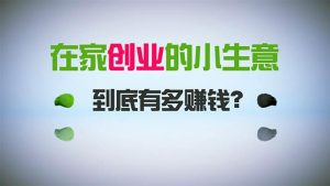 在家创业，日引300+创业粉，一年收入30万，闷声发财的小生意，比打工强-宁率网络知识库