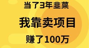 当了3年韭菜，我靠卖项目赚了100万-宁率网络知识库