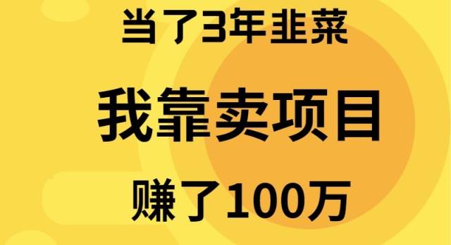 当了3年韭菜，我靠卖项目赚了100万-宁率网络知识库