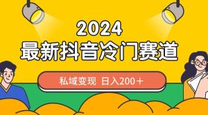 2024抖音最新冷门赛道,私域变现轻松日入200+,作品制作简单,流量爆炸-宁率网络知识库