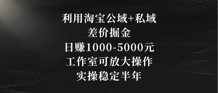 利用淘宝公域+私域差价掘金，日赚1000-5000元，工作室可放大操作，实操…-宁率网络知识库