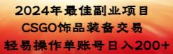 2024年最佳副业项目 CSGO饰品装备交易 轻易操作单账号日入200+-宁率网络知识库