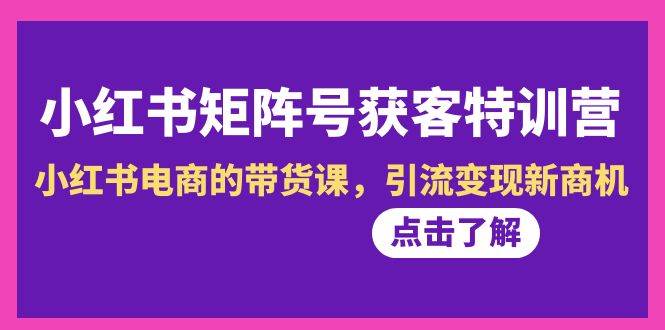 小红书-矩阵号获客特训营-第10期，小红书电商的带货课，引流变现新商机-宁率网络知识库