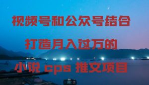 视频号和公众号结合打造月入过万的小说cps推文项目-宁率网络知识库