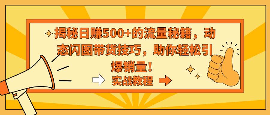 揭秘日赚500+的流量秘籍，动态闪图带货技巧，助你轻松引爆销量！-宁率网络知识库