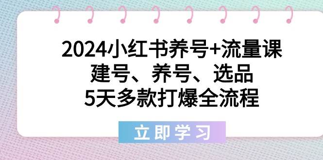2024小红书养号+流量课：建号、养号、选品，5天多款打爆全流程-宁率网络知识库