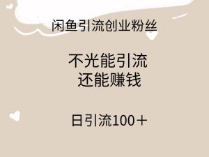 闲鱼精准引流创业粉丝，日引流100＋，引流过程还能赚钱-宁率网络知识库