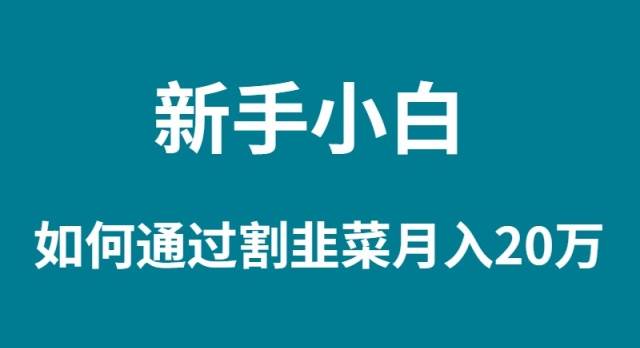 新手小白如何通过割韭菜月入 20W-宁率网络知识库