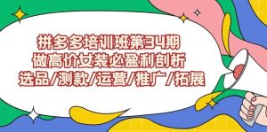 拼多多培训班第34期：做高价女装必盈利剖析  选品/测款/运营/推广/拓展-宁率网络知识库