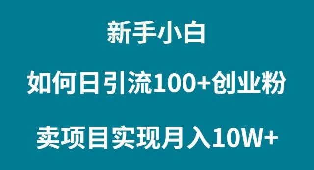 新手小白如何通过卖项目实现月入10W+-宁率网络知识库
