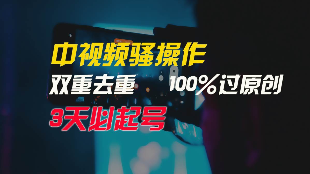 中视频骚操作，双重去重100%过原创，3天比必起号，简单无脑，月入3W+-宁率网络知识库