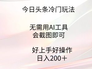 今日头条冷门玩法，无需用AI工具，会截图即可。门槛低好操作好上手，日…-宁率网络知识库
