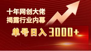 单号日入3000+，工作室内部无脑美女视频玩法，100%过原创-宁率网络知识库