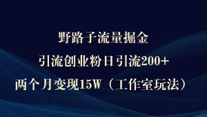 野路子流量掘金，引流创业粉日引流200+，两个月变现15W（工作室玩法））-宁率网络知识库