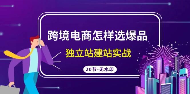 跨境电商怎样选爆品，独立站建站实战（20节高清无水印课）-宁率网络知识库