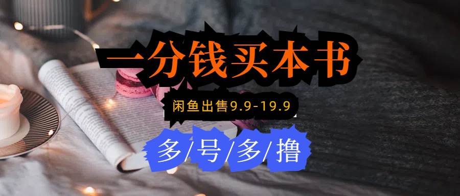 每天花1分钱买一本书，闲鱼出售9.9-19.9不等，多账号多撸 新手小白均可操作-宁率网络知识库