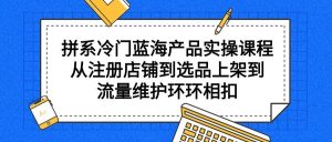 拼系冷门蓝海产品实操课程,从注册店铺到选品上架到流量维护环环相扣-宁率网络知识库