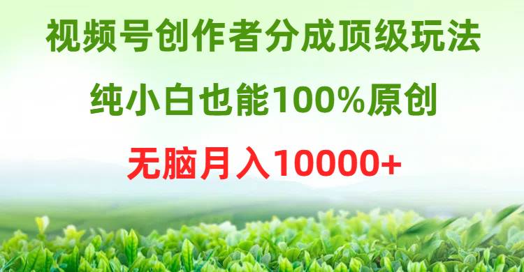视频号创作者分成顶级玩法，纯小白也能100%原创，无脑月入10000+-宁率网络知识库