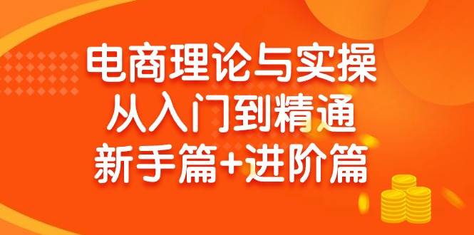 电商理论与实操从入门到精通 新手篇+进阶篇-宁率网络知识库