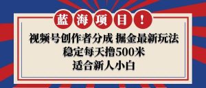 【蓝海项目】视频号创作者分成 掘金最新玩法 稳定每天撸500米 适合新人小白-宁率网络知识库