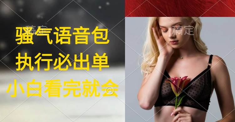 执行就出单，日入2000+，超火骚气语音包，小白看完课程就能马上实操-宁率网络知识库