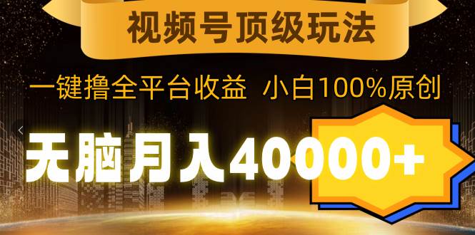 视频号顶级玩法，无脑月入40000+，一键撸全平台收益，纯小白也能100%原创-宁率网络知识库