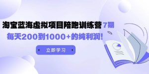黄岛主《淘宝蓝海虚拟项目陪跑训练营7期》每天200到1000+的纯利润-宁率网络知识库