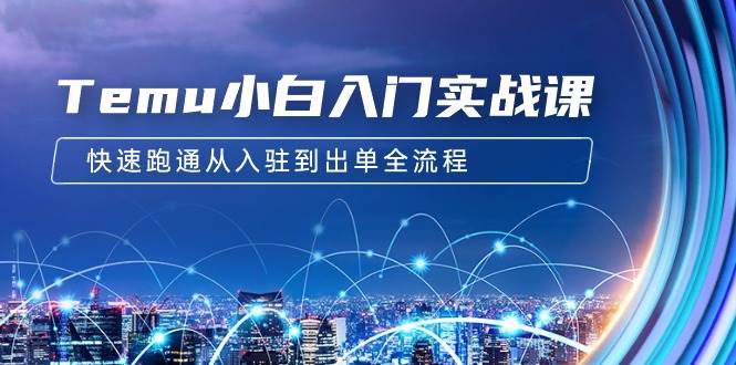 Temu小白入门实战课：跨境拼多多电商培训 快速跑通从入驻到出单全流程-12节-宁率网络知识库