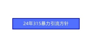 2024年315暴力引流方针-宁率网络知识库