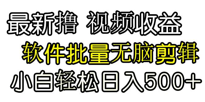 发视频撸收益，软件无脑批量剪辑，第一天发第二天就有钱-宁率网络知识库
