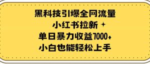 黑科技引爆全网流量小红书拉新，单日暴力收益7000+，小白也能轻松上手-宁率网络知识库