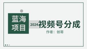 【蓝海项目】2024年视频号分成计划，快速开分成，日爆单8000+，附玩法教程-宁率网络知识库