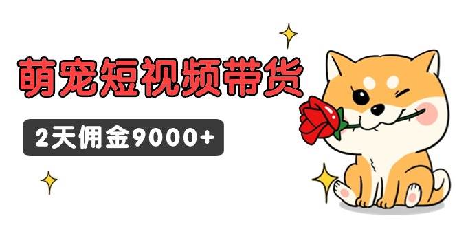 东哲日记·萌宠短视频带货，2天佣金9000+-宁率网络知识库