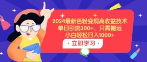 2024最新色粉变现高收益技术，单日引流300+，只需搬运，小白轻松日入1000+-宁率网络知识库
