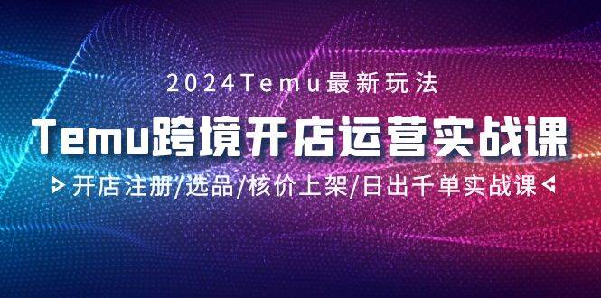 2024Temu跨境开店运营实战课，开店注册/选品/核价上架/日出千单实战课-宁率网络知识库