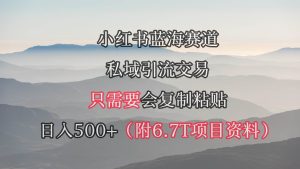 小红书短剧赛道，私域引流交易，会复制粘贴，日入500+（附6.7T短剧资源）-宁率网络知识库