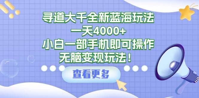 寻道大千全新蓝海玩法，一天4000+，小白一部手机即可操作，无脑变现玩法！-宁率网络知识库