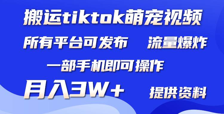 搬运Tiktok萌宠类视频，一部手机即可。所有短视频平台均可操作，月入3W+-宁率网络知识库
