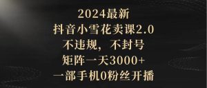 2024最新抖音小雪花卖课2.0 不违规 不封号 矩阵一天3000+一部手机0粉丝开播-宁率网络知识库