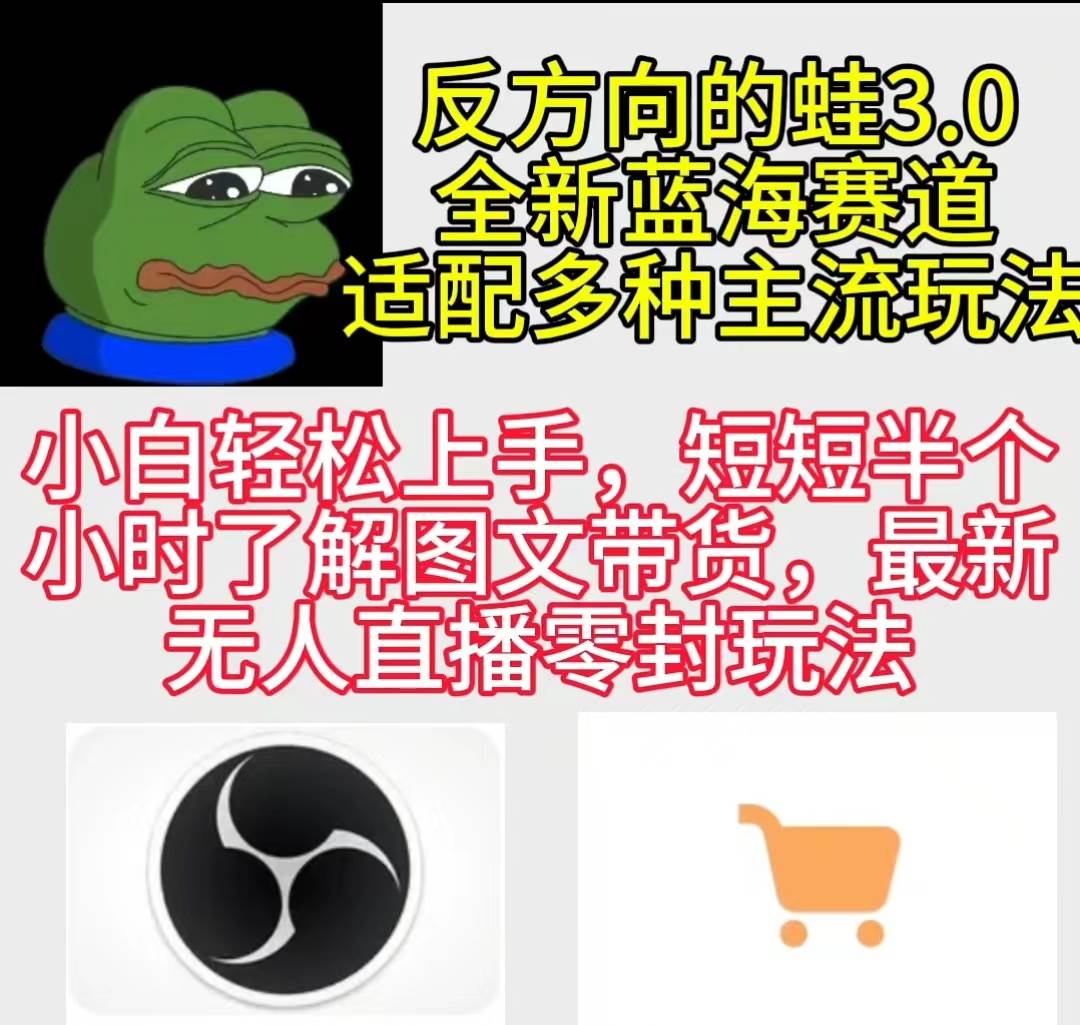 反方向的蛙3.0，图文最新玩法，变现多元化，新蓝海项目，小白轻松上手-宁率网络知识库