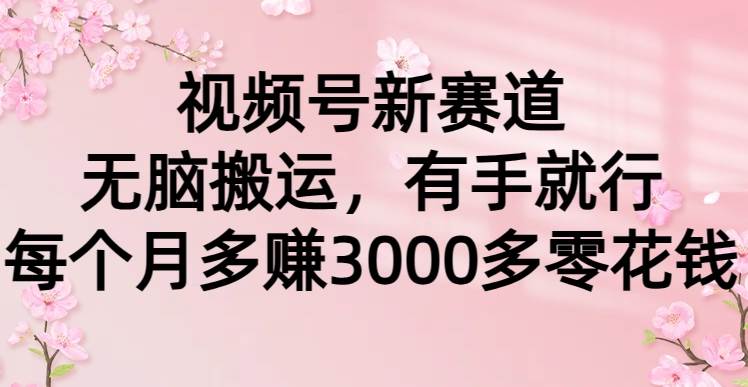 视频号新赛道，无脑搬运，有手就行，每个月多赚3000多零花钱-宁率网络知识库