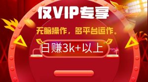 2024年最新一键多平台带货，这么简单无脑的操作日入3k+你玩过吗？几分钟…-宁率网络知识库