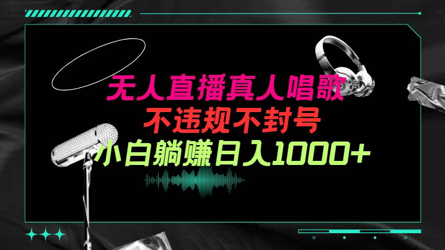 抖音24小时无人直播音乐，不违规，不封号纯撸音浪，小白实操当天日入1000+-宁率网络知识库