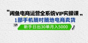 闲鱼电商运营全系统VIP实战课，1部手机随时随地卖货，新手日出30单月入5000-宁率网络知识库