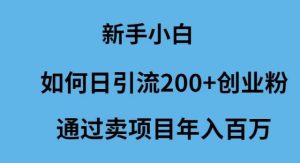 新手小白如何日引流200+创业粉通过卖项目年入百万-宁率网络知识库