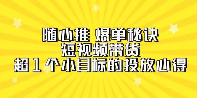 随心推 爆单秘诀，短视频带货-超1个小目标的投放心得（7节视频课）-宁率网络知识库