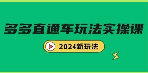 多多直通车玩法实战课，2024新玩法（7节课）-宁率网络知识库