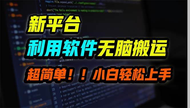 新平台用软件无脑搬运，月赚10000+，小白也能轻松上手-宁率网络知识库