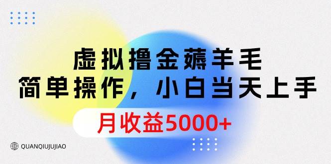 虚拟撸金薅羊毛，简单操作，小白当天上手，月收益5000+-宁率网络知识库